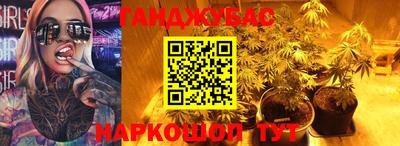 прущие грибы Северобайкальск
