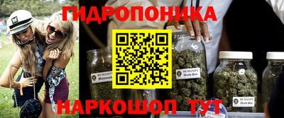 твердый Севастополь