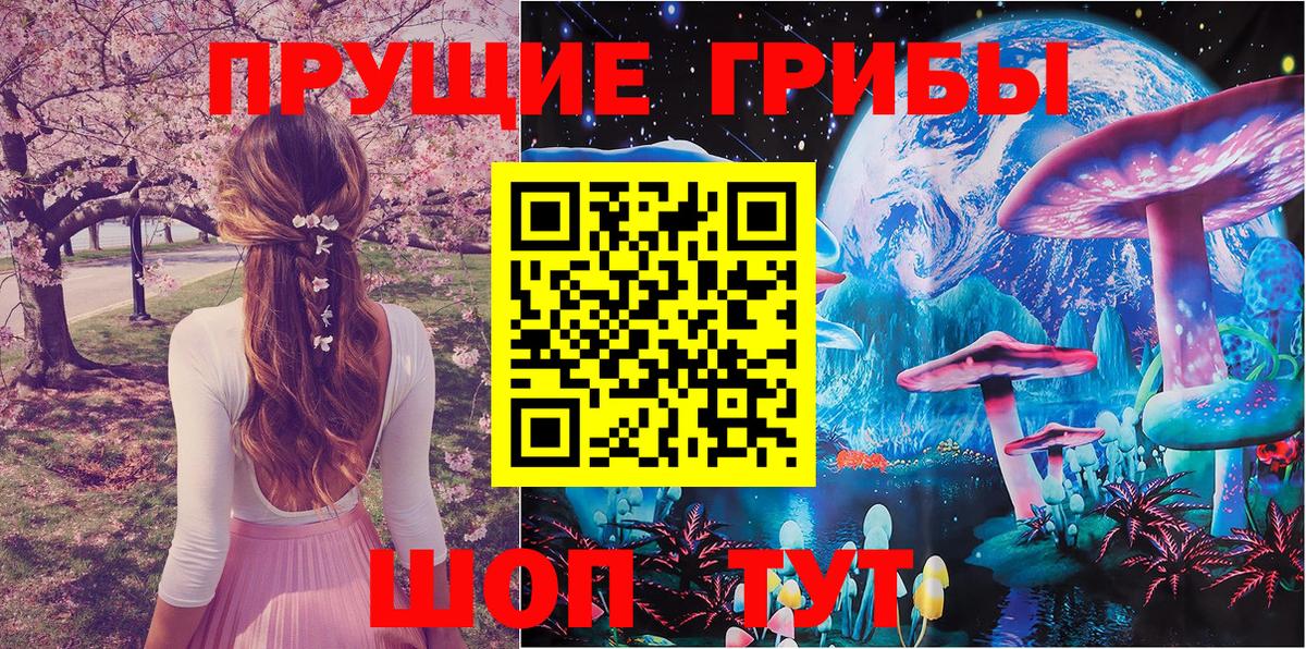 Псилоцибиновые грибы прущие грибы  Вход с VPN  что такое наркотик  Нарткала 
